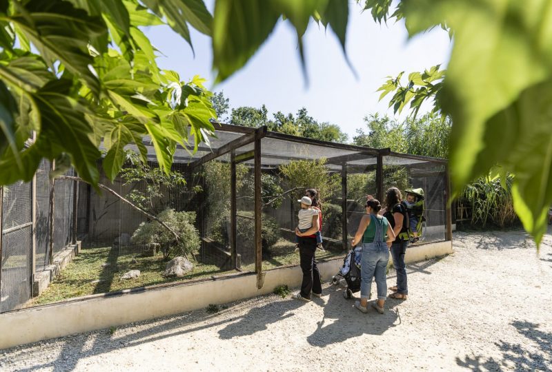 Zoo d’Upie – Le Jardin aux Oiseaux à Upie - 6